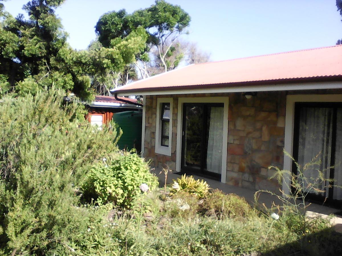 Forest Cove Cottage Knysna Kültér fotó
